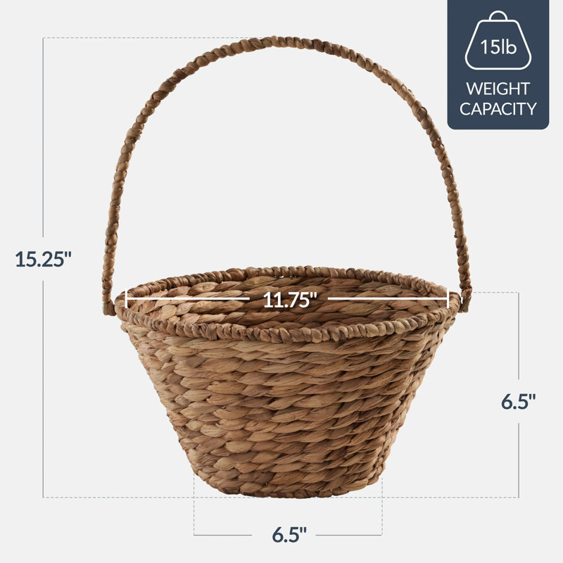 Panier moyen, Châtaigne
