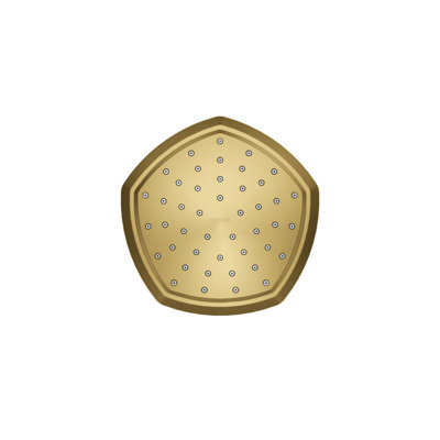 Pomme de douche fixe / double occasion