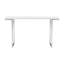 Avander 55'' W Console Table
