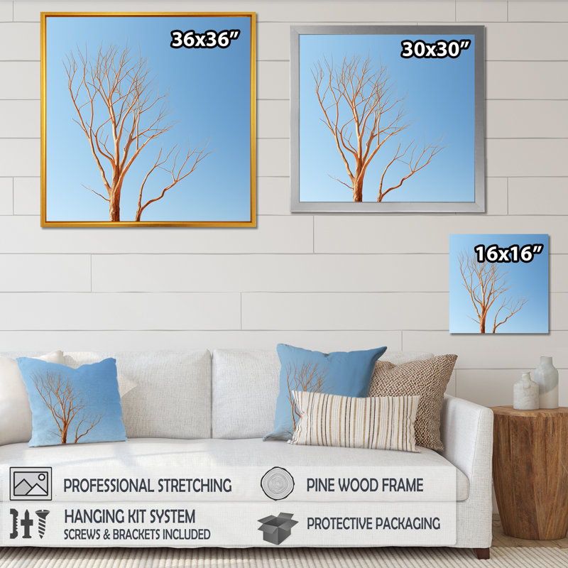 «Blue Timbers Trace Photo I», reproduction sur toile, Cadre simple noir, H 36 po x l 36 po x P 1,5 po