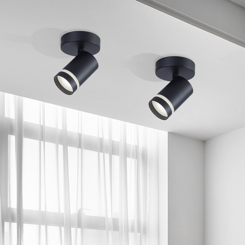 Maletta Spotlight, Black