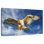 Brampt Hawk Attack