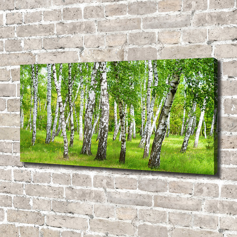 Birch Forest - Print, Wrapped Canvas, 70cm H x 140cm W x 2cm D