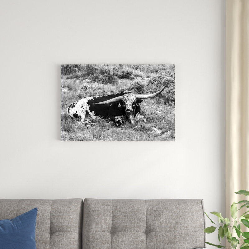 B&W Longhorn I, H 20 po x l 30 po x P 1,25 po