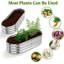 Planter Box