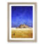 Camel by the Pyramids of Giza - Picture Frame Graphic Art Print-56862867-56862872
