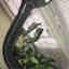Customer photo 4 of 4