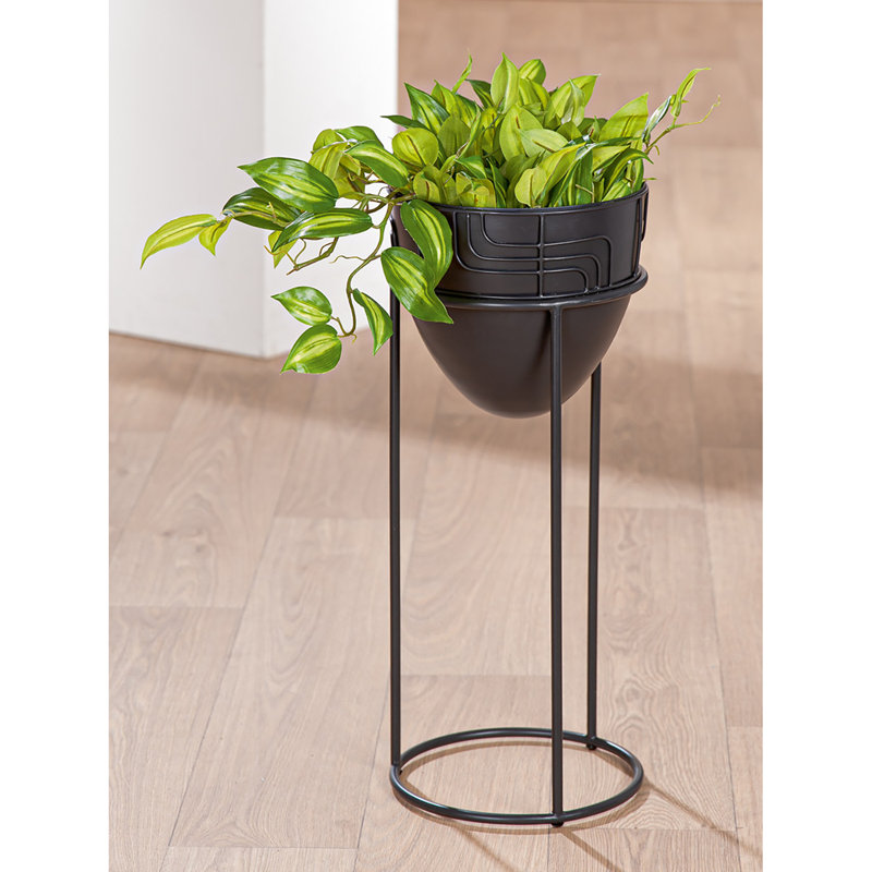 Alfredine Plant Stand, 57cm H x 24cm W x 24cm D