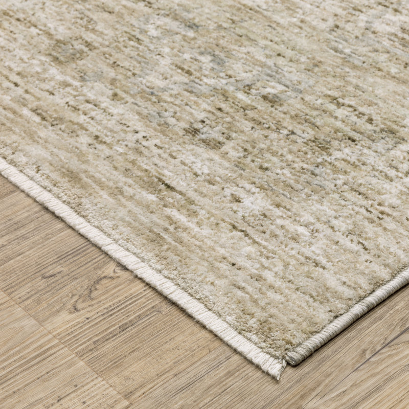 Kuebler Distressed Traditional Beige/ Grey Area Rug, Rectangle 3'2" x 5'