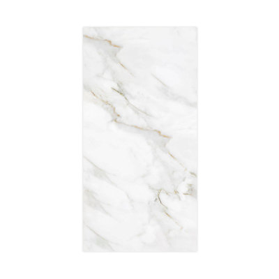 Panneau mural de douche Titan 48 po x 96 po, or Summit (brillant), TW4896-KI80G