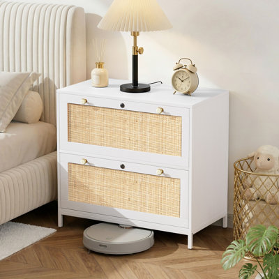 Blasko 29.53'' Wide 2 -Drawer File Cabinet