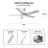 Eggett 52'' Ceiling Fan with LED Lights