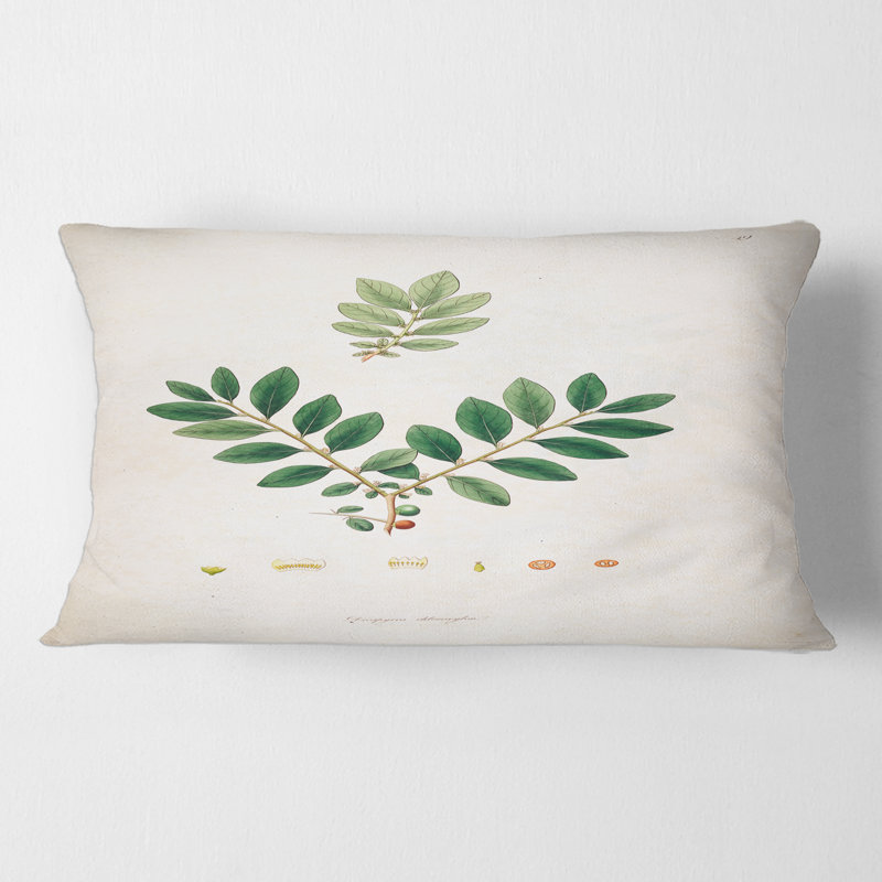 Coussin Vintage Plant Life