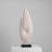 Picture Colour Free Form Solid Wood Decorative Object