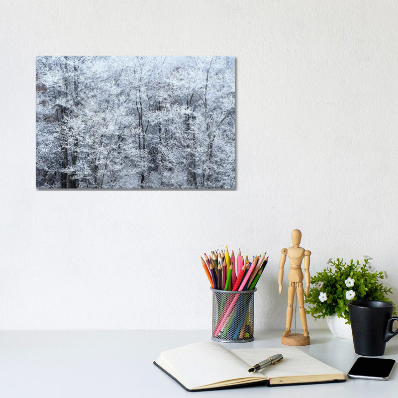 Winter Fog by Brian Wolf - Wrapped Canvas Print, 20.32cm H x 30.48cm W x 1.91cm D