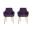 Camargo 18.5cm H Tufted Polyester Blend Upholstered Accent in Plum-17854938