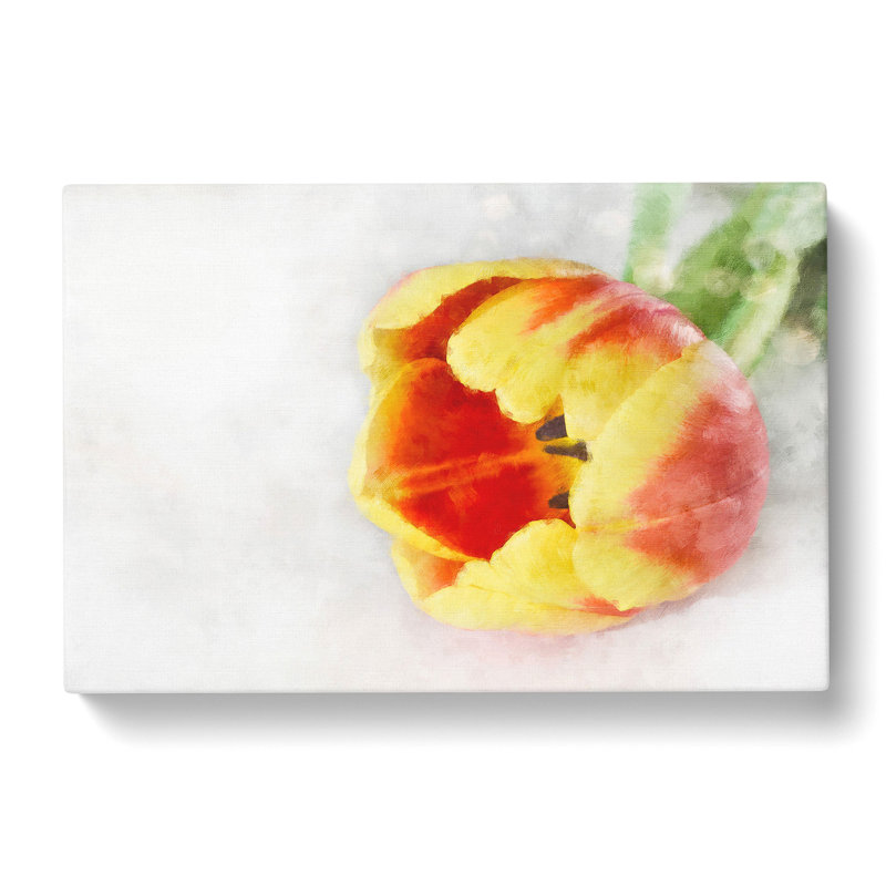 Tulip In Red And Yellow - Wrapped Canvas Painting, 40cm H x 60cm W x 3cm D