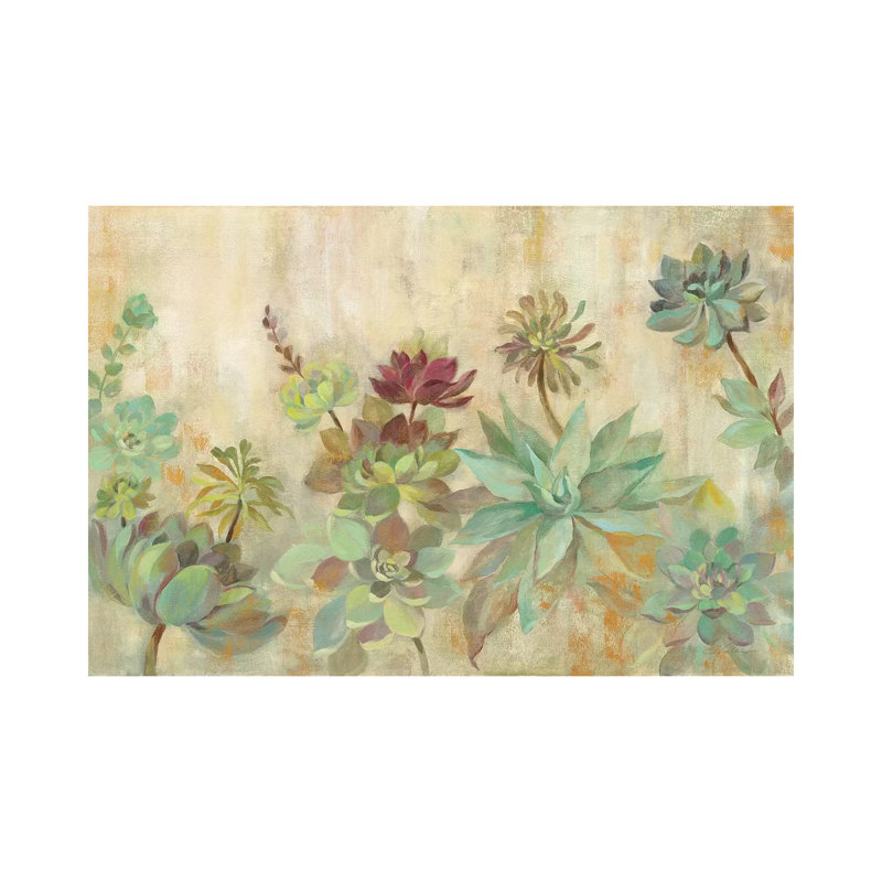 Succulent Garden by Silvia Vassileva - Gallery-Wrapped Canvas Giclée on Canvas, 101.6 cm H x 66.04 cm W, Canvas