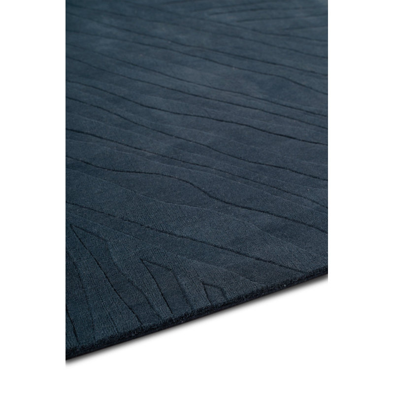 Ariso Midnight Area Rug, Rectangle 10' x 14'