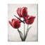 Tulipe Dreams I - Horloge murale florale surdimensionnée-776026675