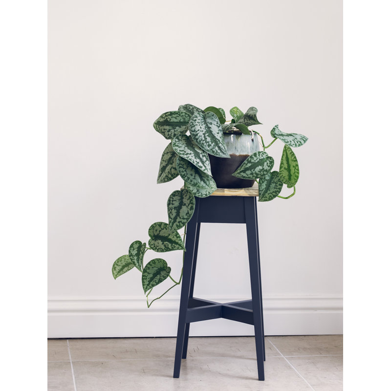 Decatur Plant Stand, Navy Blue, H50 x L24 x D24cm