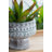 Calianna Pot Planter-1132056171