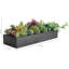 7.62 cm Artificial Succulent In Planter