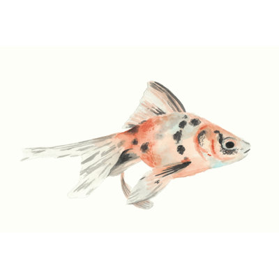 Watercolor Tropical Fish I by Naomi McCavitt - Wrapped Canvas Painting