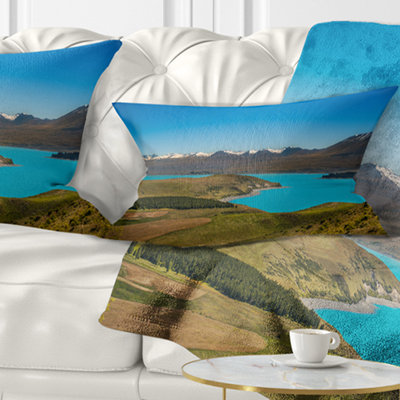 Throw Pillow