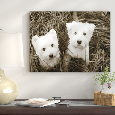 " Such Cuties " by Jim Dratfield