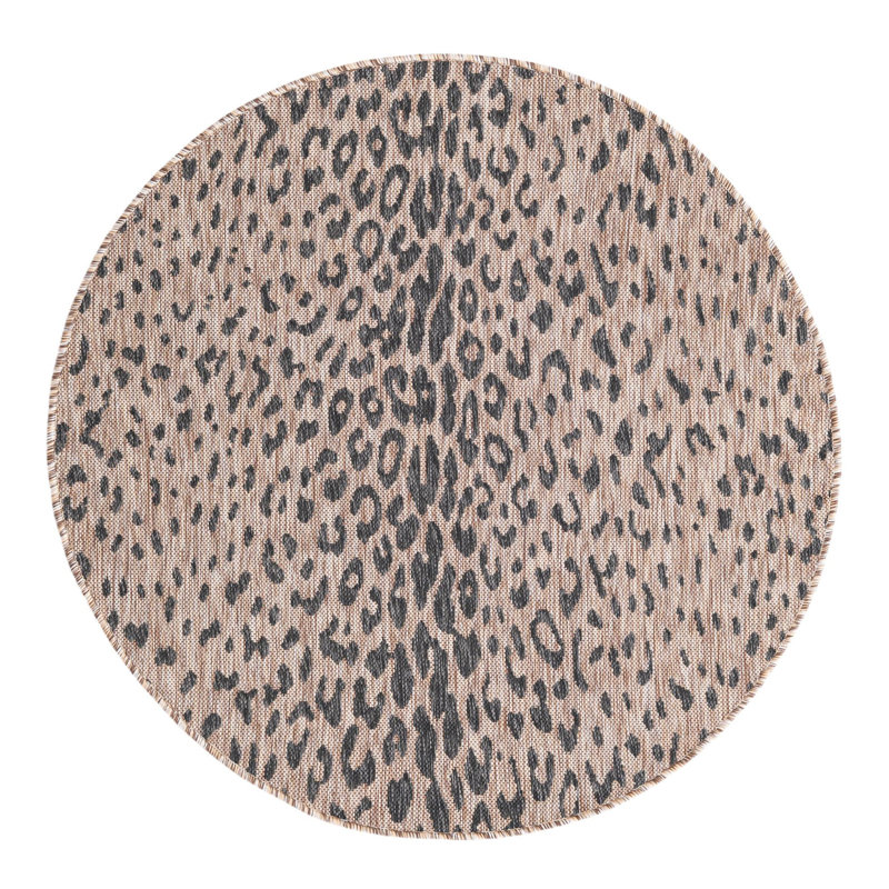 Ivery Indoor/Outdoor Area Rug, Round 4'