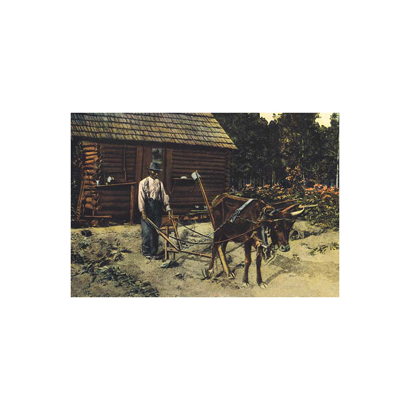 « ox-chasse », reproduction d’art, H 28 po x l 42 po