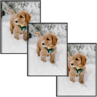 Aillie Black Metal Matte Picture Frame - Set of 3