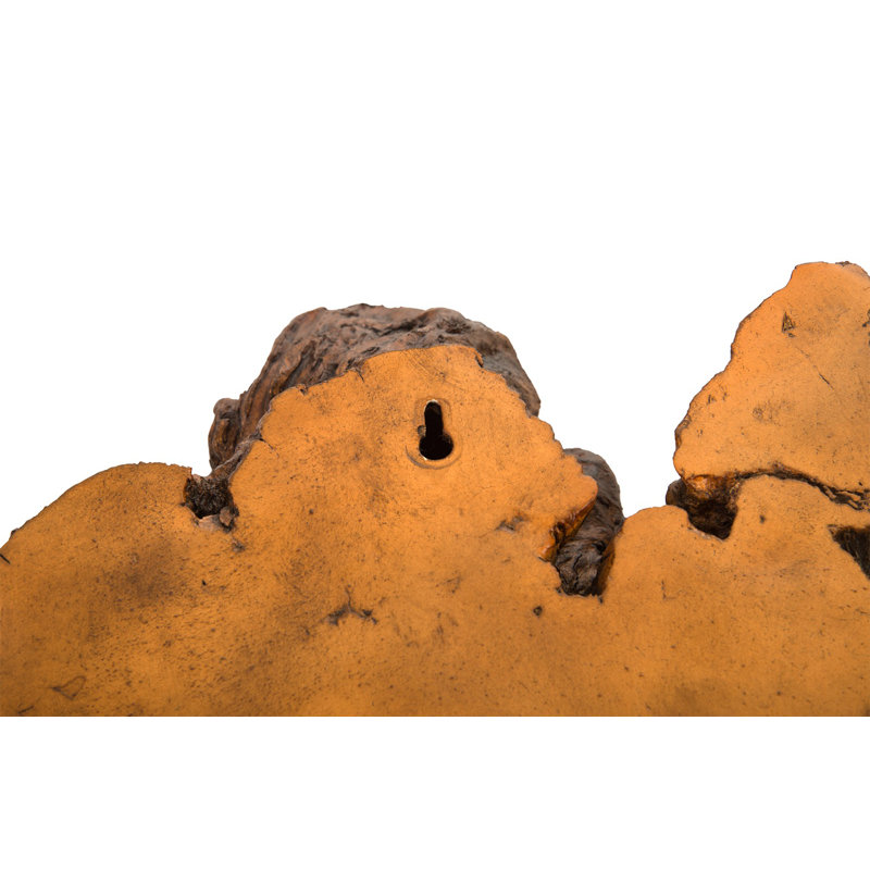 Décoration murale Cast Naturals Root Burled