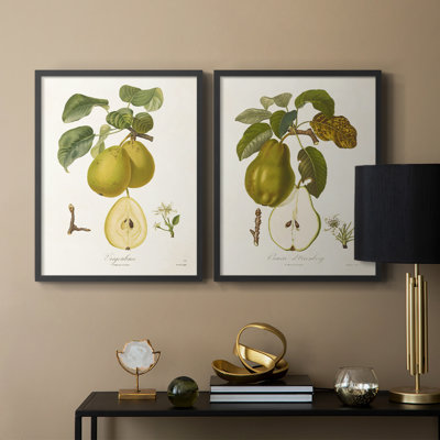 Vintage Pears III - reproduction encadrée de qualité supérieure - prête à être accrochée - aucun clou requis - aucun clou requis