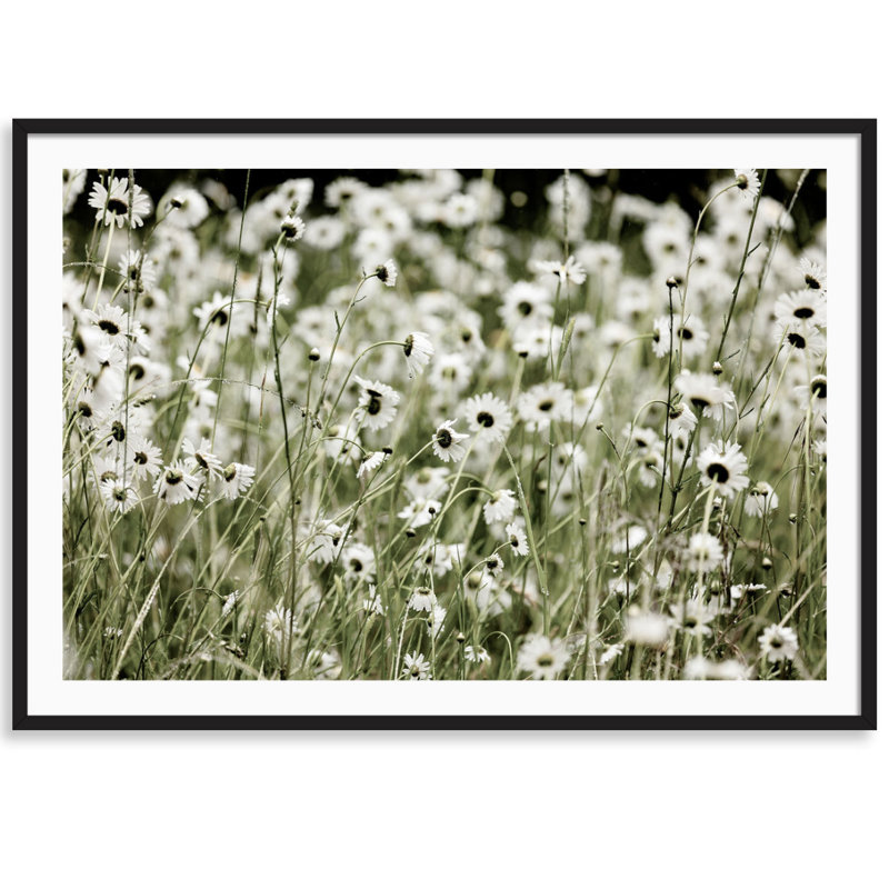 Wild Flowers Print by Carly Tabak, Black Wood, 44" W x 31" H