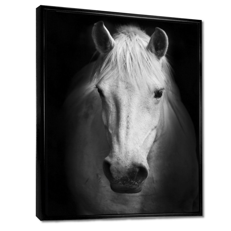 Cheval, reproduction d'art sur toile, cheval noir et blanc, H 20 po x l 12 po, Reproduction avec cadre flottant, Noir