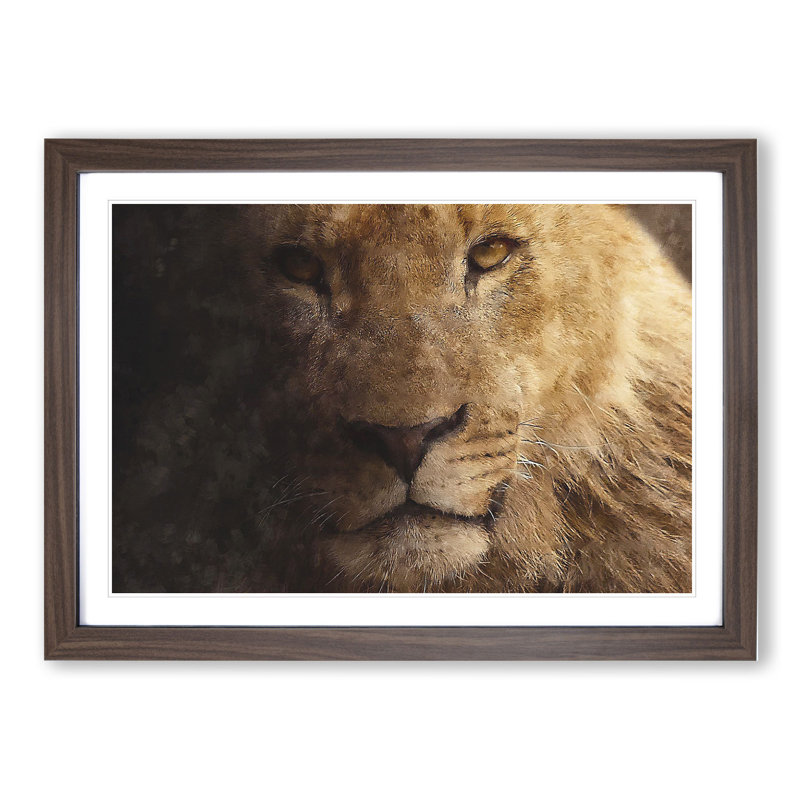 Lion Vol.3 - Picture Frame Graphic Art, Walnut Framed, 36cm H x 48cm W x 2cm D