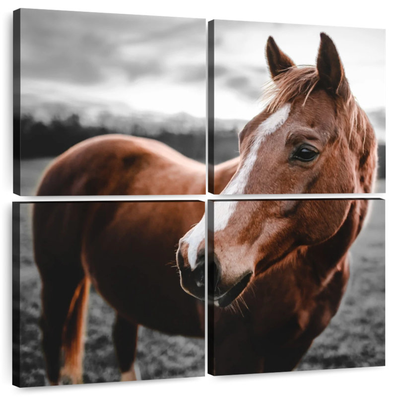 Brampt Shining Horse
