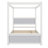 Pruss Canopy Storage Bed-525045645