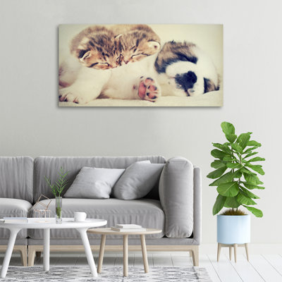 Two Cats And A Dog - No Frame Print on Canvas