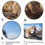 Morse toundra très grand - Reproduction d'art mural animaux-1758912771-1758912793