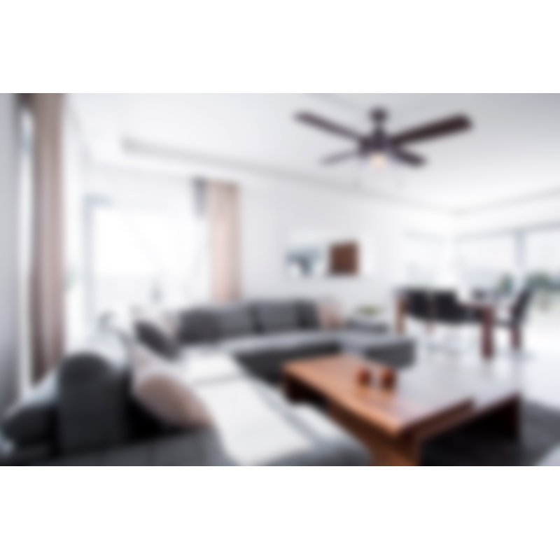 Renderos 48'' Ceiling Fan with Light Kit