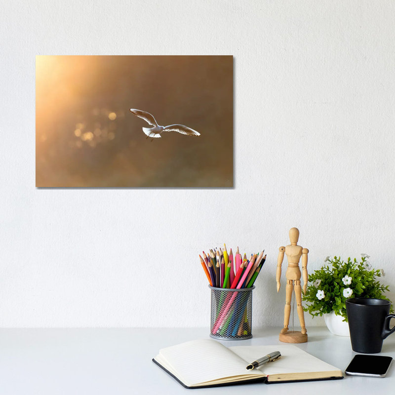 Headed Gull At Sunrise by Mateusz Piesiak - Wrapped Canvas Print, 20.32 cm H x 30.48 cm W