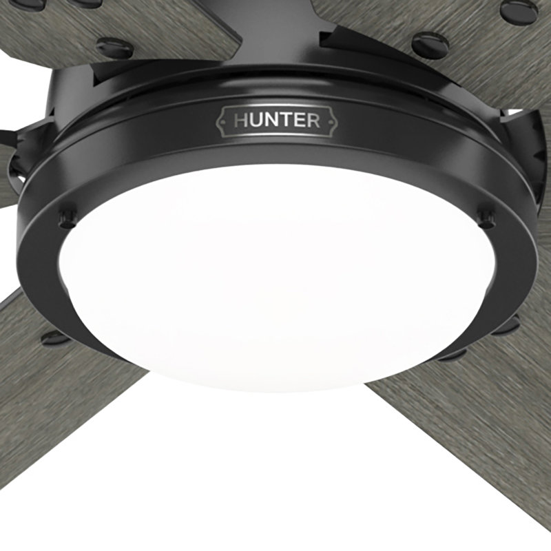 Gravity 6 - Blade Ceiling Fan with LED Light Kit and Handheld Remote and Wifi Smart Fan, Dark Gray Oak, 60"