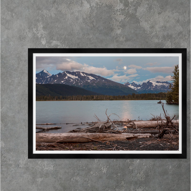 Moonlight Driftwood I Print