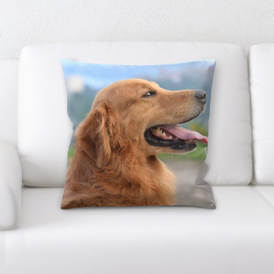 Aiden Microsuede Reversible Throw Pillow