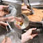 Robinet de cuisine à poignée simple