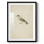 «Vintage Animal Print», impression encadrée-100453083