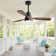 48" Nicola 3 - Blade Modern Ceiling Fan with Remote Control and Light Kit